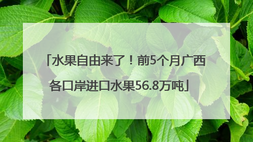 水果自由来了！前5个月广西各口岸进口水果56.8万吨