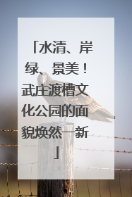 水清、岸绿、景美！武庄渡槽文化公园的面貌焕然一新