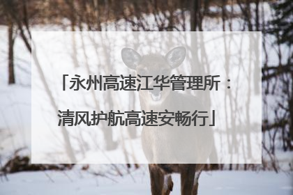永州高速江华管理所：清风护航高速安畅行