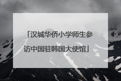 汉城华侨小学师生参访中国驻韩国大使馆