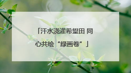 汗水浇灌希望田 同心共绘“绿画卷”