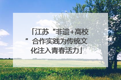 江苏“非遗+高校”合作实践为传统文化注入青春活力