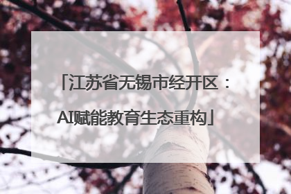 江苏省无锡市经开区：AI赋能教育生态重构
