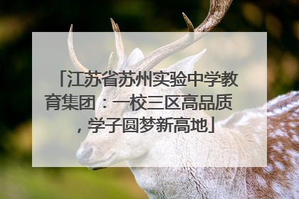 江苏省苏州实验中学教育集团：一校三区高品质，学子圆梦新高地
