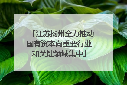 江苏扬州全力推动国有资本向重要行业和关键领域集中