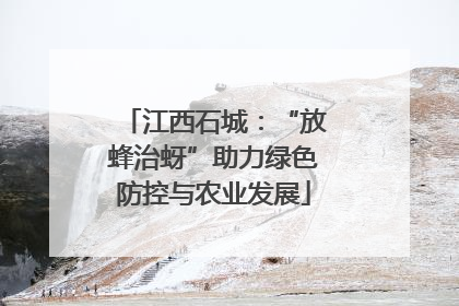 江西石城：“放蜂治蚜”助力绿色防控与农业发展