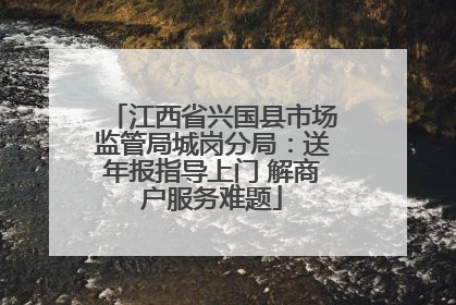 江西省兴国县市场监管局城岗分局：送年报指导上门 解商户服务难题