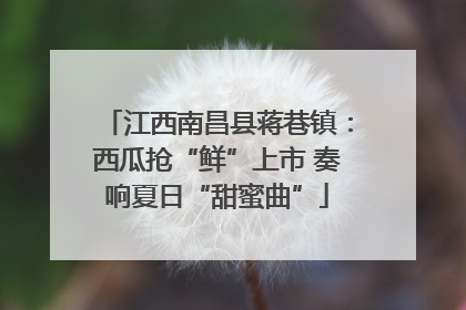 江西南昌县蒋巷镇：西瓜抢“鲜”上市 奏响夏日“甜蜜曲”
