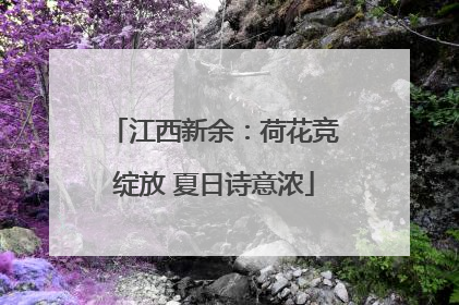 江西新余：荷花竞绽放 夏日诗意浓