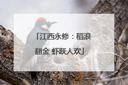 江西永修：稻浪翻金 虾跃人欢
