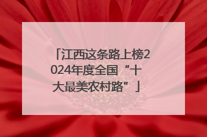 江西这条路上榜2024年度全国“十大最美农村路”
