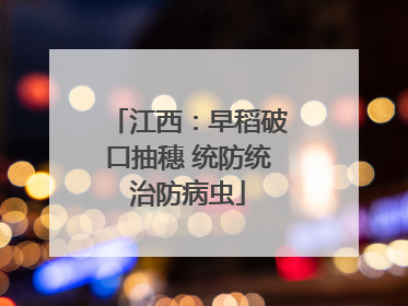 江西：早稻破口抽穗 统防统治防病虫