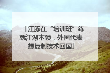 江豚在“培训班”练就江湖本领，外国代表想复制技术回国