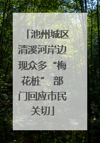 池州城区清溪河岸边现众多“梅花桩” 部门回应市民关切