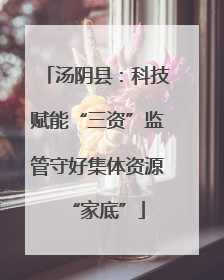 汤阴县：科技赋能“三资”监管守好集体资源“家底”