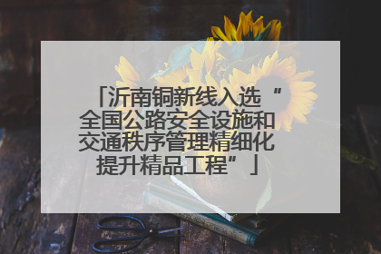 沂南铜新线入选“全国公路安全设施和交通秩序管理精细化提升精品工程”