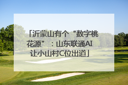 沂蒙山有个“数字桃花源”：山东联通AI让小山村C位出道