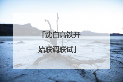 沈白高铁开始联调联试