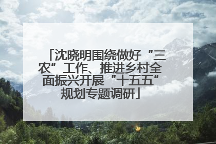 沈晓明围绕做好“三农”工作、推进乡村全面振兴开展“十五五”规划专题调研