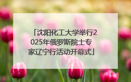 沈阳化工大学举行2025年俄罗斯院士专家辽宁行活动开幕式