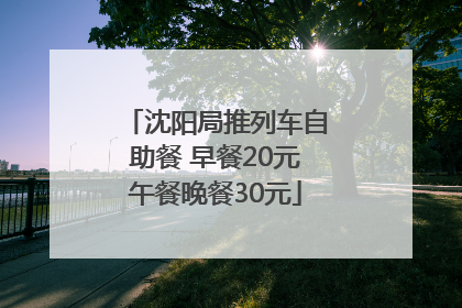 沈阳局推列车自助餐 早餐20元午餐晚餐30元