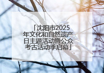 沈阳市2025年文化和自然遗产日主题活动暨公众考古活动季启幕