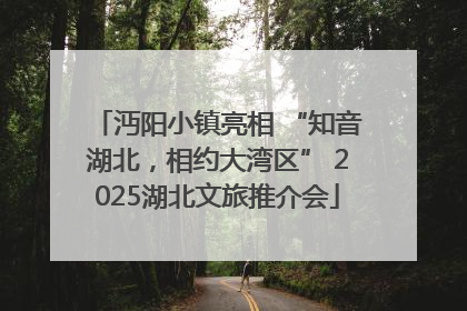 沔阳小镇亮相 “知音湖北，相约大湾区” 2025湖北文旅推介会