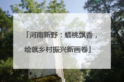 河南新野：蟠桃飘香，绘就乡村振兴新画卷