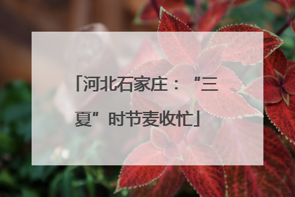 河北石家庄：“三夏”时节麦收忙