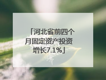 河北省前四个月固定资产投资增长7.1%