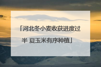 河北冬小麦收获进度过半 夏玉米有序种植