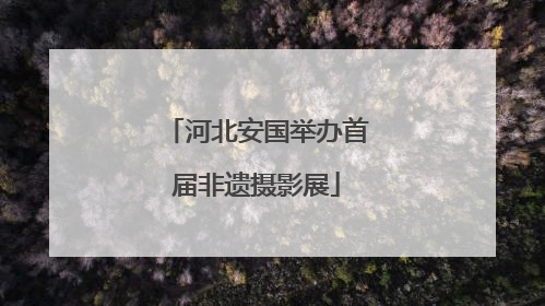 河北安国举办首届非遗摄影展