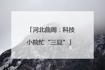河北曲周：科技小院忙“三夏”