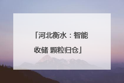 河北衡水：智能收储 颗粒归仓