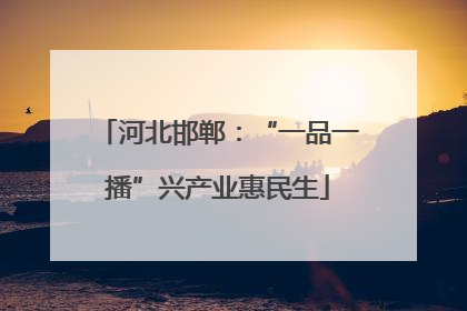 河北邯郸：“一品一播”兴产业惠民生