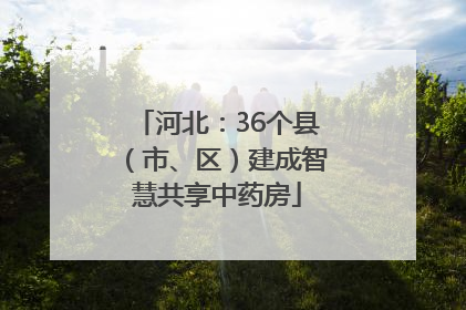 河北：36个县（市、区）建成智慧共享中药房