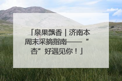 泉果飘香｜济南本周末采摘指南——“杏”好遇见你！
