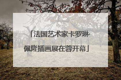 法国艺术家卡罗琳·佩隆插画展在蓉开幕