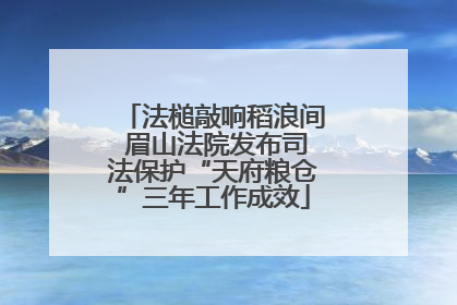 法槌敲响稻浪间 眉山法院发布司法保护“天府粮仓”三年工作成效