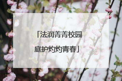 法润菁菁校园 庭护灼灼青春