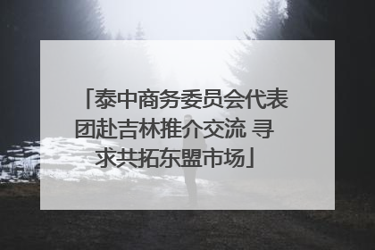 泰中商务委员会代表团赴吉林推介交流 寻求共拓东盟市场