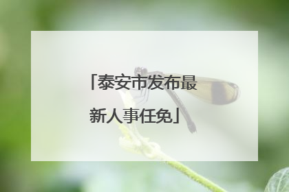 泰安市发布最新人事任免