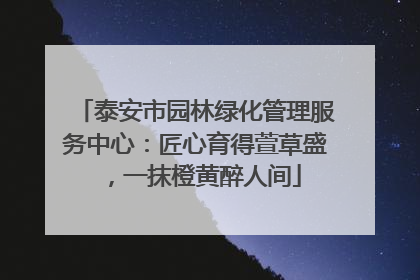 泰安市园林绿化管理服务中心：匠心育得萱草盛，一抹橙黄醉人间