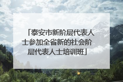 泰安市新阶层代表人士参加全省新的社会阶层代表人士培训班