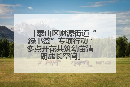 泰山区财源街道“绿书签”专项行动：多点开花共筑幼苗清朗成长空间