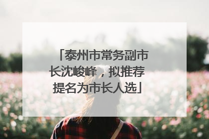 泰州市常务副市长沈峻峰，拟推荐提名为市长人选