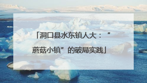 洞口县水东镇人大：“蘑菇小镇”的破局实践