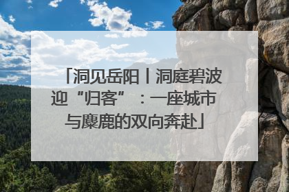 洞见岳阳丨洞庭碧波迎“归客”：一座城市与麋鹿的双向奔赴