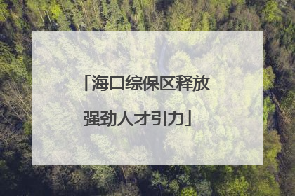 海口综保区释放强劲人才引力