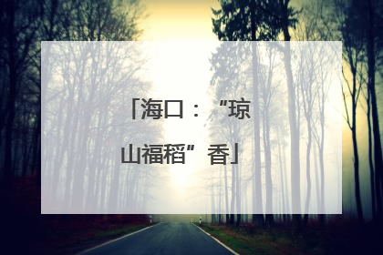 海口：“琼山福稻”香